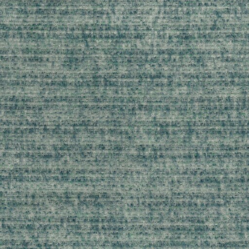Mouflon Plain 