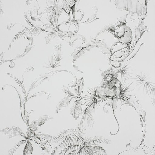 Barbary Toile 