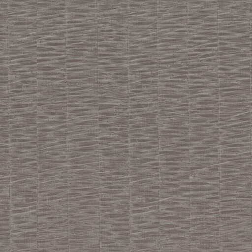Nutmeg 