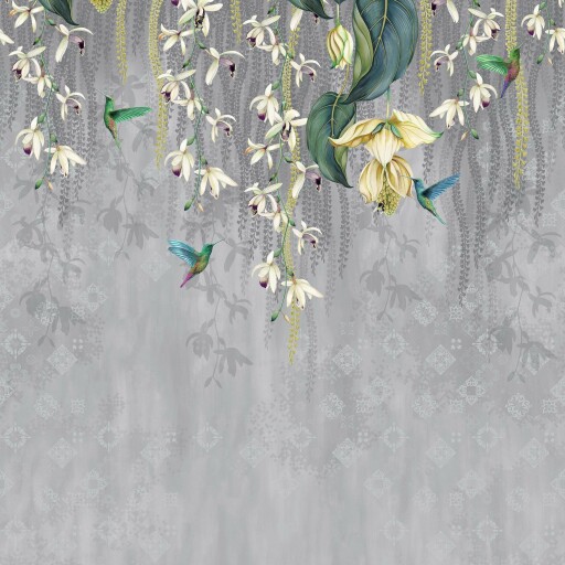 Trailing Orchid 