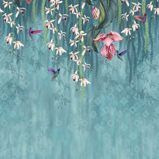 Trailing Orchid 