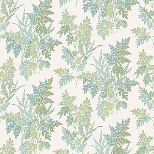Fern Craze 