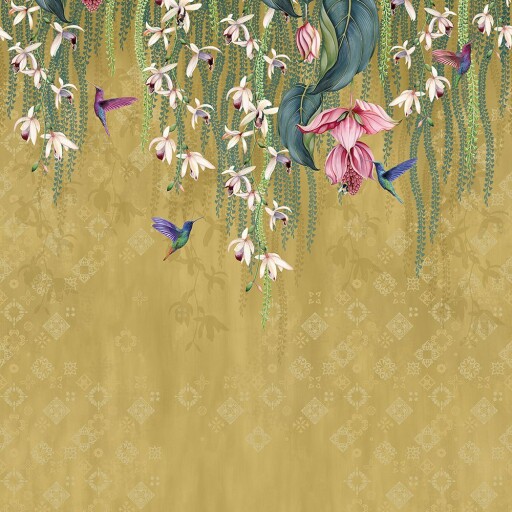Trailing Orchid 