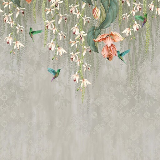 Trailing Orchid 