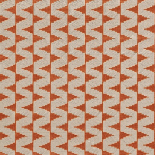 Cavalli 